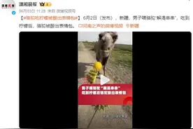 骆驼吃柠檬被酸出表情包：男子喂骆驼“解渴串串”图片