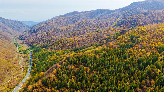 秋日大青山层林尽染
