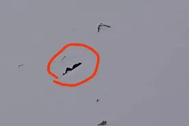 男子在海拔5000多米雪山意外滑坠身亡？无人机拍到惊险一幕图片