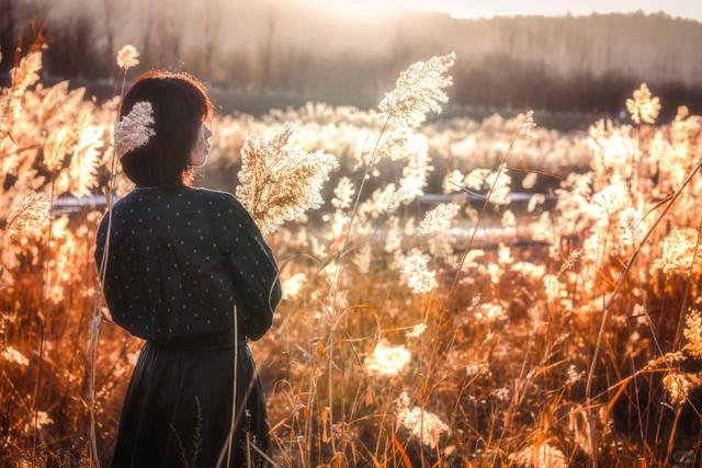 绒白胜雪！西安的芦苇仙境，氛围感拉满