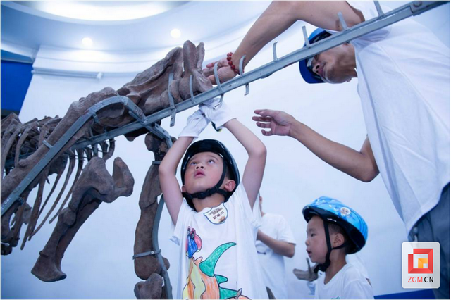 对标世界级的自我革命——自贡恐龙博物馆“闭馆修炼”记