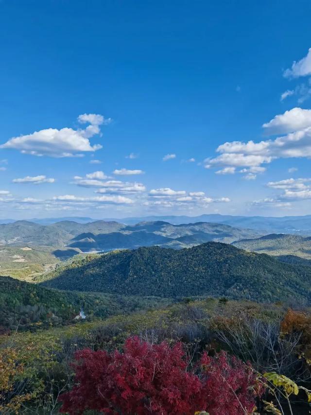 省媒看白山 | 吉林日报：四方山中秋意浓 层林尽染似画卷