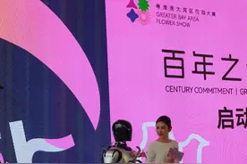 粤港澳大湾区花园大赛开幕，闯入AI量极高的“花花世界”图片