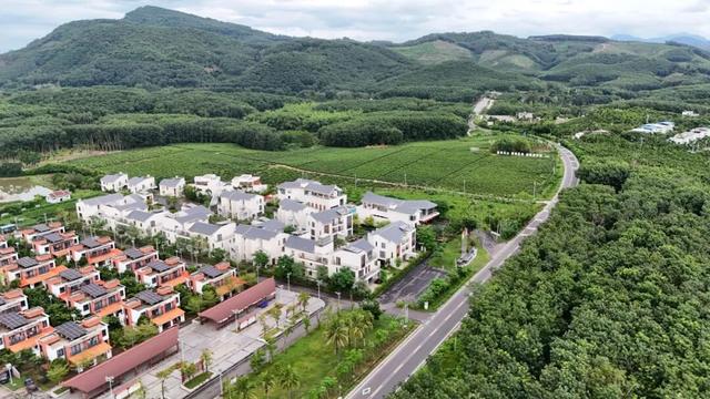 白沙喜提国家2A级旅游景区，陨石坑生态茶园+集市周末联动玩法请收藏！