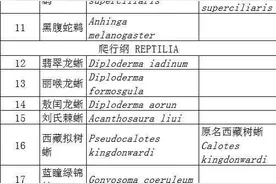 收录5纲28种！《云南省重点保护陆生野生动物名录》公布图片