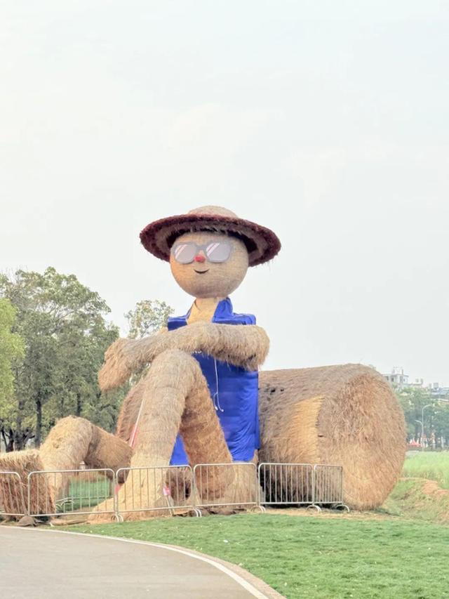 假期遛娃好去处！来滇池边骑行、玩水、观鸟…