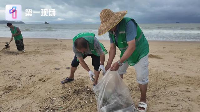 台风后大梅沙成“大没沙”？谣言