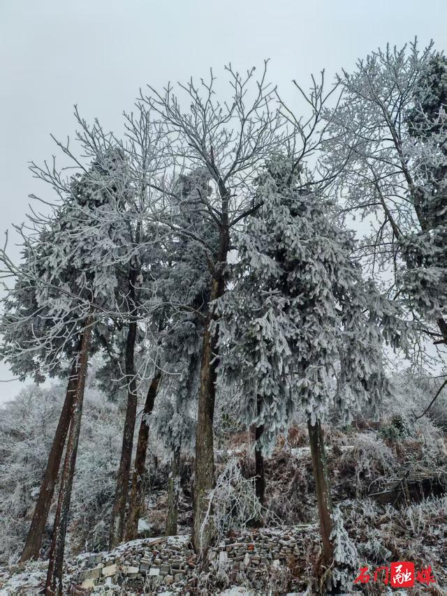 组图 | 石门：银装素裹 东山峰美成童话