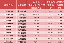 金价狂飙｜贵金属领涨A股，这些主动权益基金重仓“金价放大器”图片