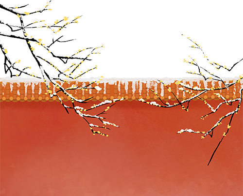 域见上海·域见奉贤｜冬春之交顶流花神C位出道！海湾国家森林公园梅花节定档大年初一