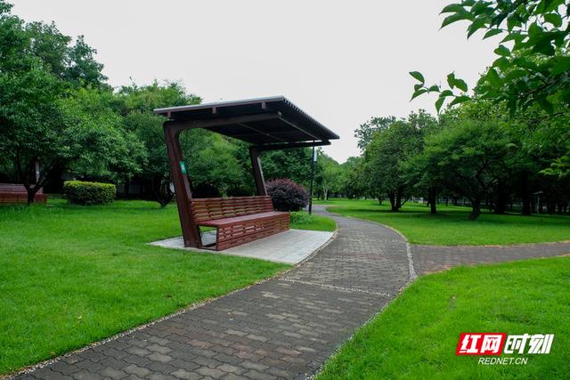 我住湘江边⑥丨橘洲零碳岛，总引“我辈复登临”