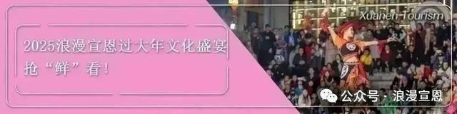 超强阵容!浪漫宣恩七夕嘉宾抢先看!