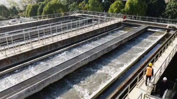 绝了！一汪清水引鱼回，美到出圈还能赚钱丨只此青绿 江山答卷