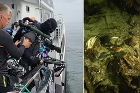 波罗的海发现19世纪沉船 载满历史悠久的货物图片