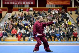 （体育）武术——中国武术队在美国旧金山湾区交流表演图片