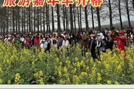 乡村周记｜2024年珠海油菜花旅游嘉年华开幕；阳江合山镇40多万盆年桔年花上市图片