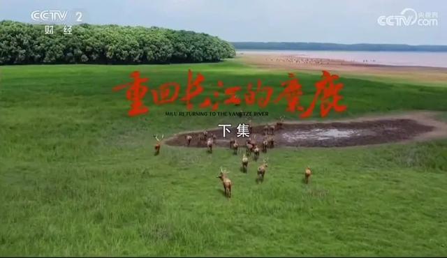 国家级文旅嘉年华 9月亮相湖北