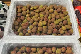 下月底，咱就有望实现“荔枝自由”！图片