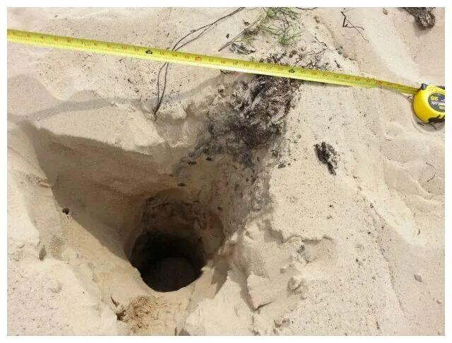 小心脚下！这种“活”沙丘会吃人，6岁男孩瞬间被吞噬，沙下藏着什么？