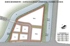 丽水拟出让微小宅地：个人可独立或联合建房，建成后可办产证可出售图片