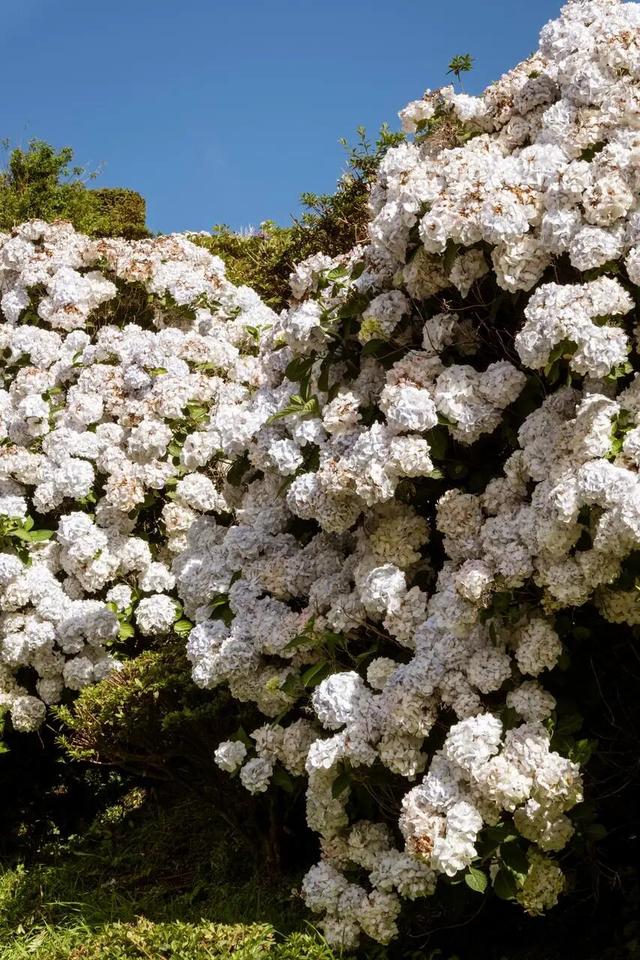 去大西洋，一直游到艺术的丰饶之海