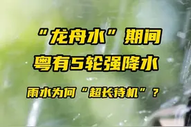 龙舟水期间，广东预计有5轮强降水，雨水为何“超长待机”视频封面