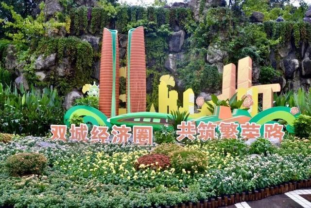 已开，免费！10万盆菊花、超多精彩活动等你来