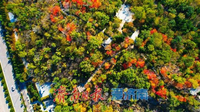 一年四季 泉在济南丨药山公园初冬美景：层林尽染处 山水入画来