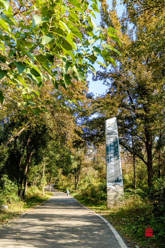 抓住晴天尾巴，徒步青龙山！