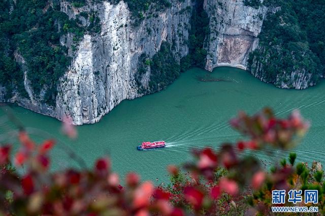 巫山红叶红了！一览三峡独有秋冬盛景