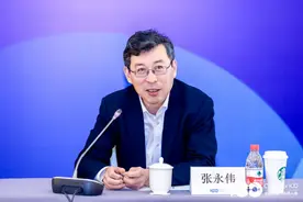 中国电动汽车百人会秘书长：2025年电动车渗透率将超50%图片
