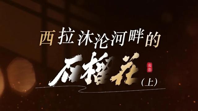 西拉沐沦河畔的石榴花