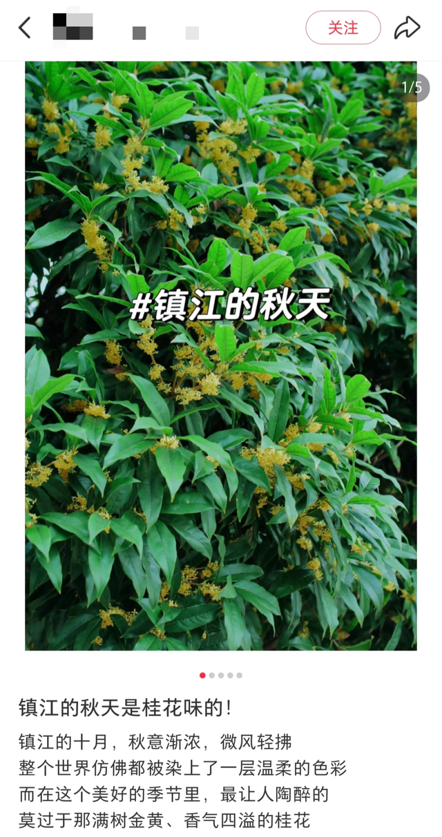 顶流来了！镇江人终于等到了