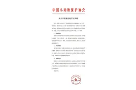 让潘宏拿100万？中国小动物保护协发声明：系谣言图片