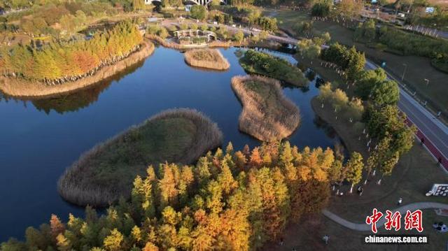海外媒体走进湖南松雅湖 观城市“绿肺”生态治理之变