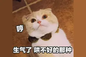 等了一个冬天，江苏的雪呢？！图片