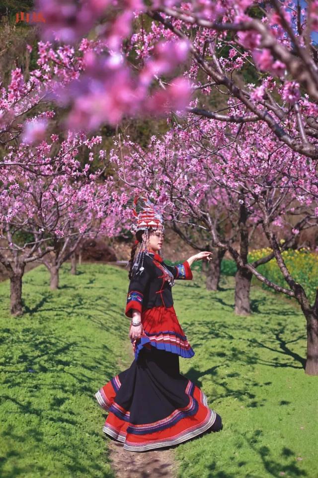 强推！3月宁德赏花自驾线！被花海包围的山海，震撼的颜值巅峰！