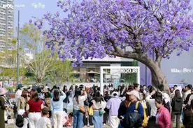 快看过来！龙岗这两个地方藏着五一假期的“隐藏菜单”图片