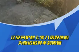 C视频·问政四川丨成都江安河护栏七零八落好危险，为啥不修复？图片