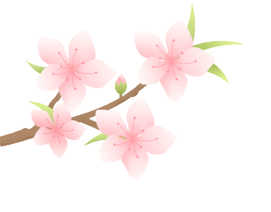 冬日甜蜜预警！永宁草莓采摘季来啦~