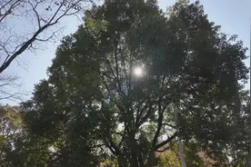 今日体感暖如夏，“四天经历四季”？图片