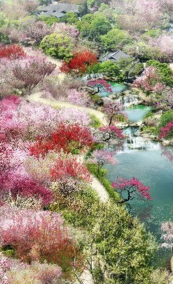 已确认！无锡梅园即将开园