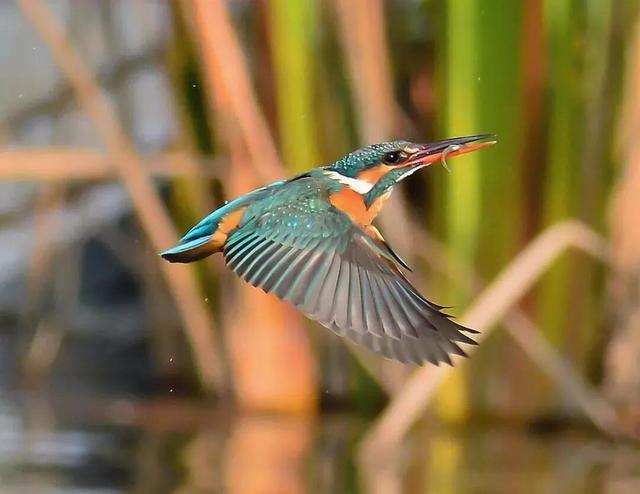 来保山，让冬日住进22℃的温柔里！