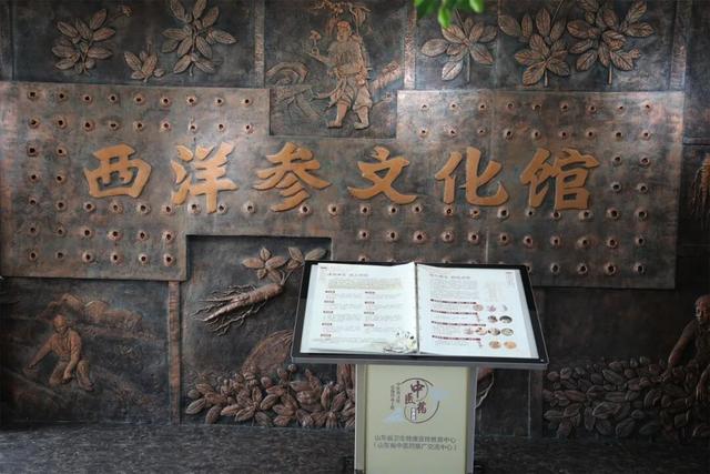 诗意之冬醉威海 | 暖汤沐心·冬享闲适之旅