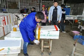 黄梅小龙虾“蹦”向全国大市场，去年产量位居全省第六图片