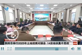 荆州市举行2025年土地招商对接会 14宗地块集中亮相图片