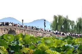 文旅年终观察：后亚运时代，浙江如何放大亚运“长尾效应”图片