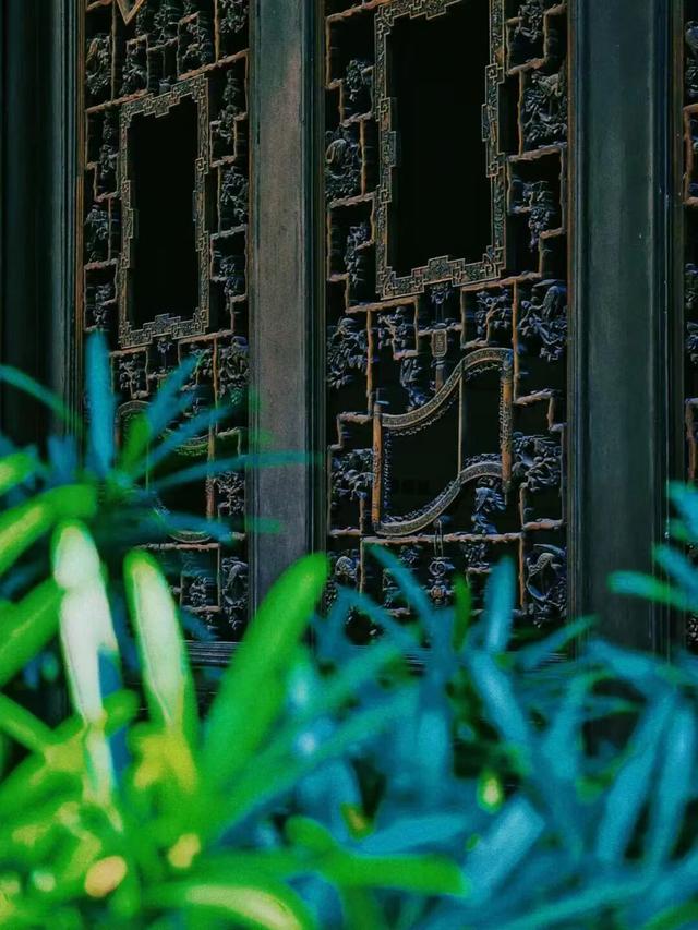 【元旦特辑】叙永县博物馆邀您共赴一场“古韵新禧”的文化之约！