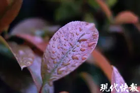 新的一周江苏有4次降水，4月9日气温重回20℃+图片