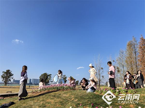 昆明“日落山海农场”成春节打卡新地标